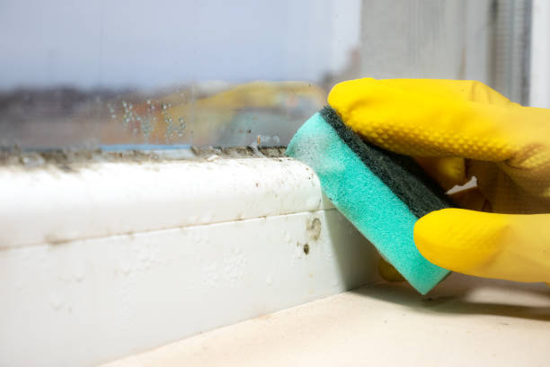 Crawl Space Mold Removal in Rushville, IN