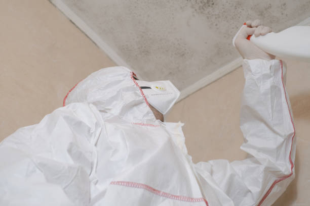Best Commercial Mold Removal  in Rushville, IN